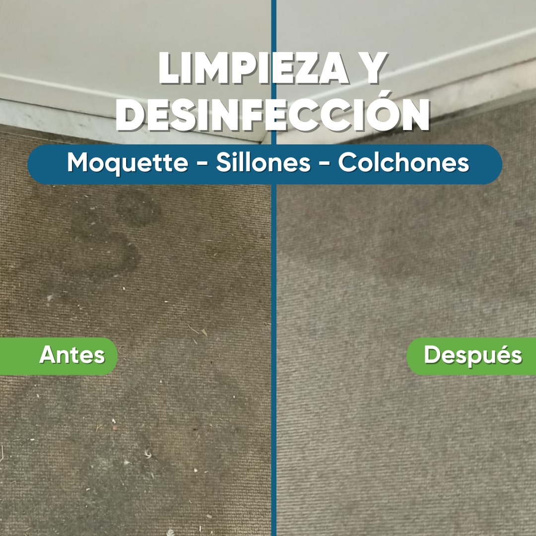 Imagen de WhatsApp 2025-07-14 a las 11.56.24_7fedad72