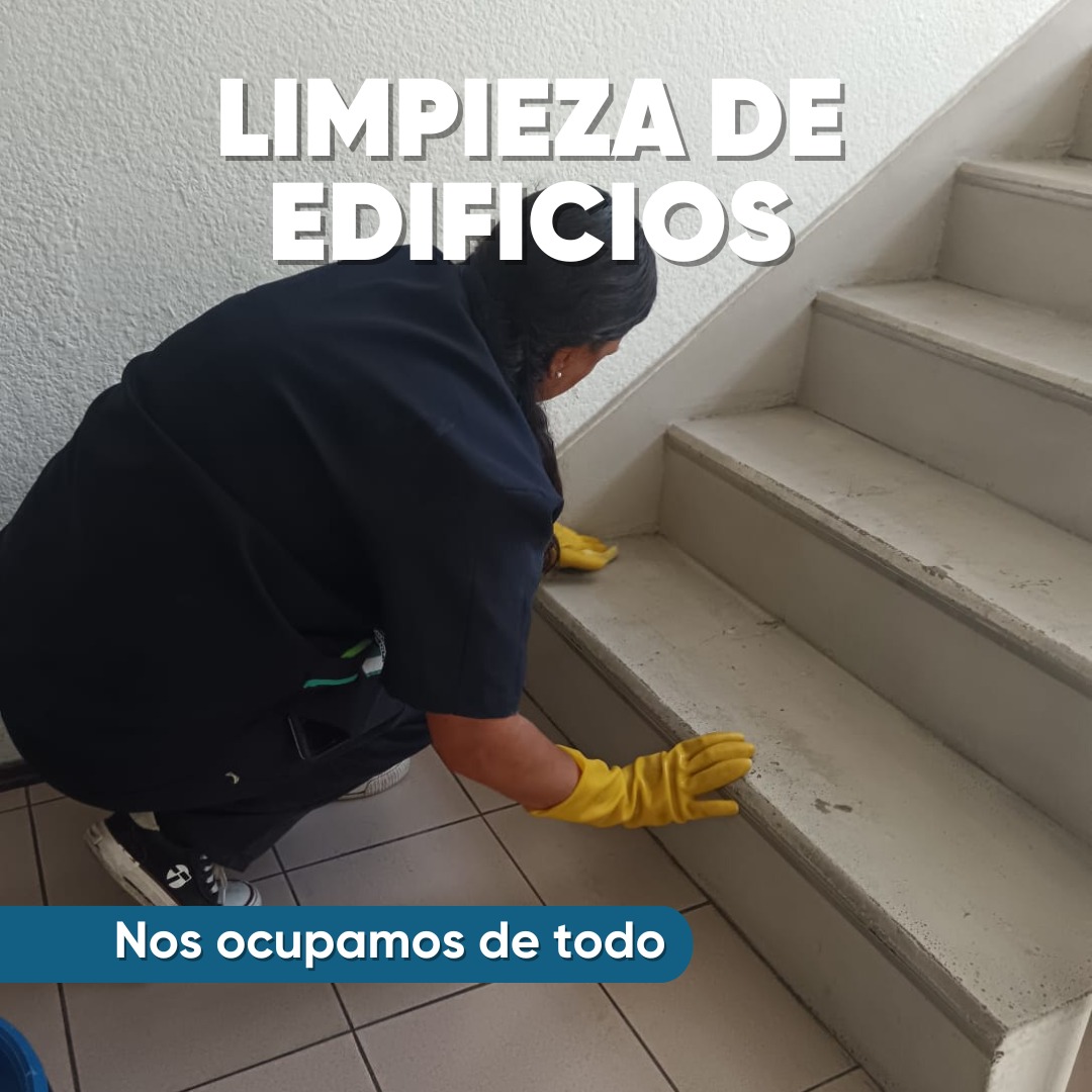 Imagen de WhatsApp 2025-07-14 a las 12.09.42_0c1c5bdd